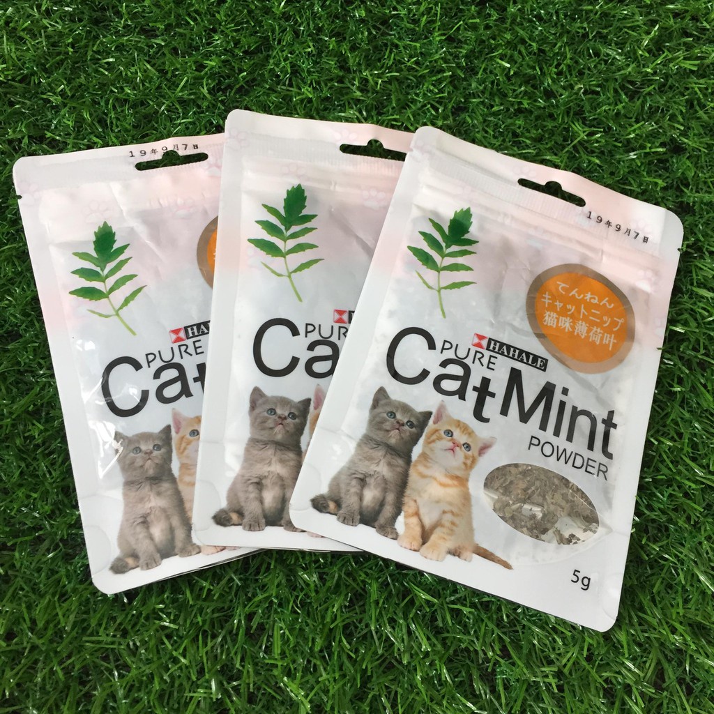 [1 Gói 5gr] Cỏ Mèo Bạc Hà Thư Giãn Cho Mèo | CatMint | Catnip 5gr