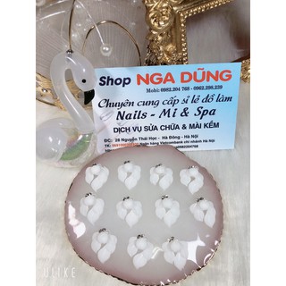 Hoa góc ngắn mong