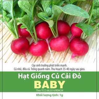 Hạt Giống Củ Cải Đỏ Tròn Baby (1gr)