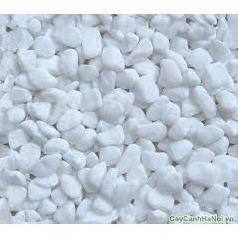 SỎI TRẮNG TRANG TRÍ HỒ CÁ 1KG