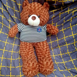 Gấu bông, gấu teddy khổ m4 dài m2 màu nâu bò