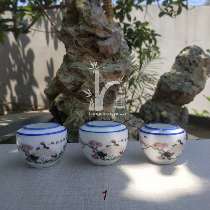 Cóng sứ chào mào đẹp