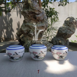 Cóng sứ chào mào đẹp