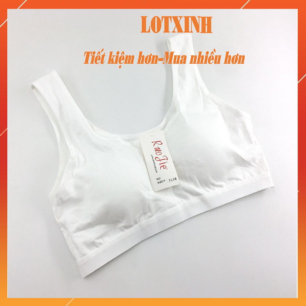 Áo lót học sinh có đệm mỏng màu trắng trơn cho học sinh cấp 1 và 2 HOCSINH02