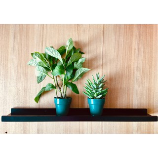 Kệ gỗ treo tường 80 cm (PTS 80) Ustyle