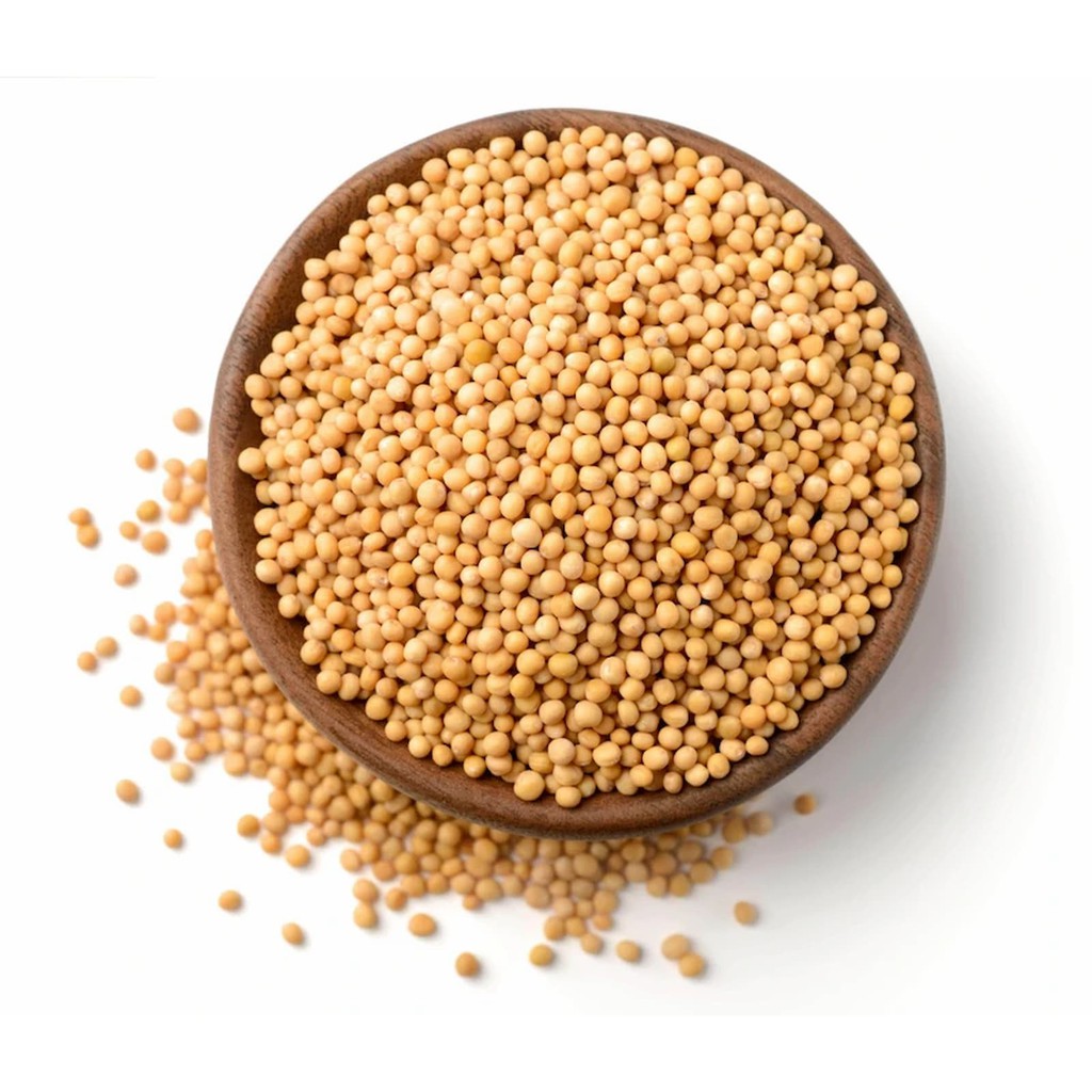[HÀNG CHÍNH HÃNG] Hạt Mù Tạt Vàng – Mustard Seeds