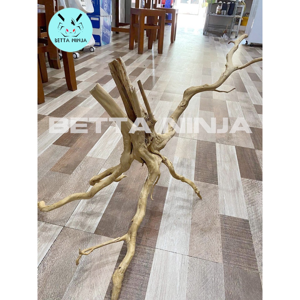 LŨA HỒ THỦY SINH PHU HỘP CHO HỒ TỪ 60 TỚI 1M2