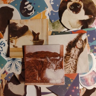 Set 40 hình dán sticker meomeo