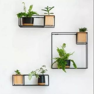 Bộ 3 kệ trang trí cây xanh treo tường