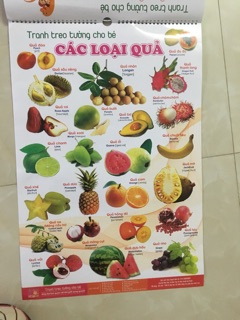 Combo tranh treo tường cho bé