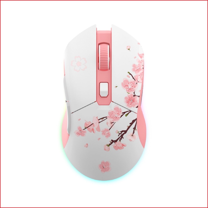 Chuột Không Dây Gaming Dareu EM901X Wireless  - Chính Hãng