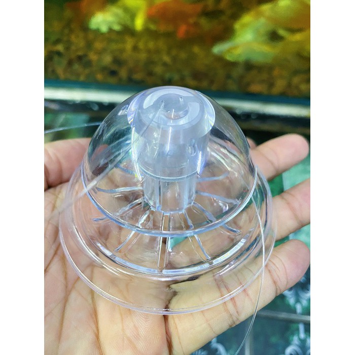 BẪY ỐC SÊN HỒ CÁ BẰNG NHỰA HỒ CÁ ĐƯỜNG KÍNH 6CM