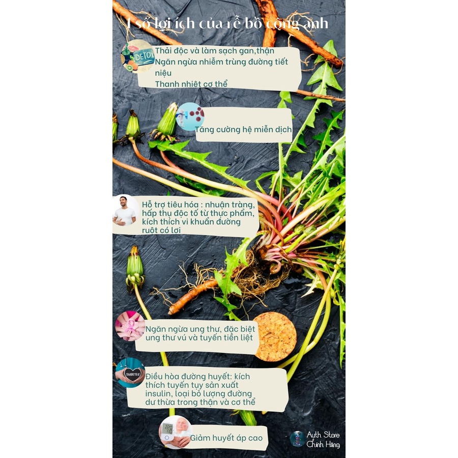 Rễ bồ công anh Dandelion Root Nature’s Way