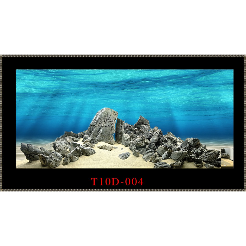Tranh 3D bể cá mã T10D-004 kt (60,80,90,100,1m2,1m5,1m6)