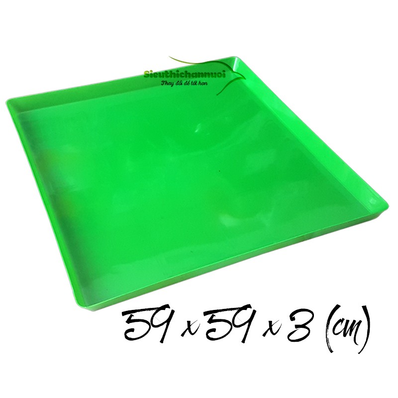 Set 20 khay hứng phân bồ câu 60 x 60 nhựa dẻo