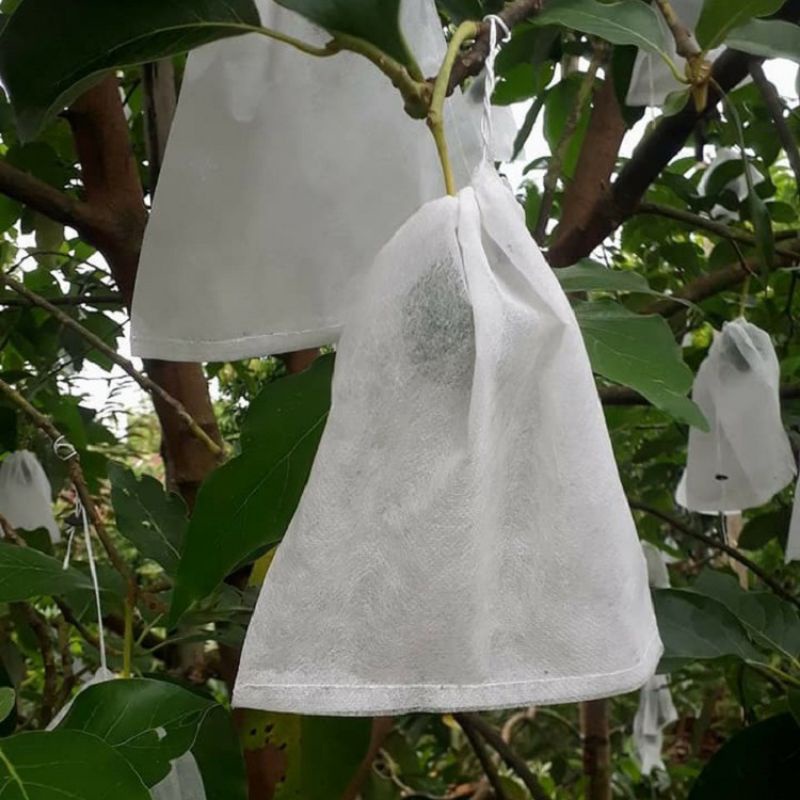 (Set 30 túi size 22*28cm) bọc trái cây xoài, ổi, mận, dưa lưới...