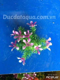 Cây hoa cỏ nhựa cao cấp