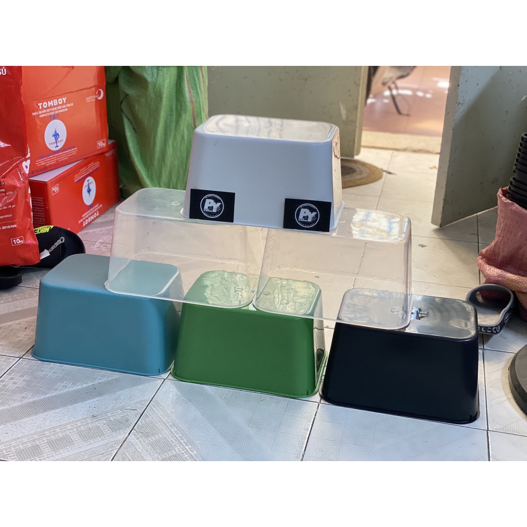 Khay 7 lít kích thước 30x22x16 đủ màu, nuôi cá, trồng rau, đựng đồ tiện lợi