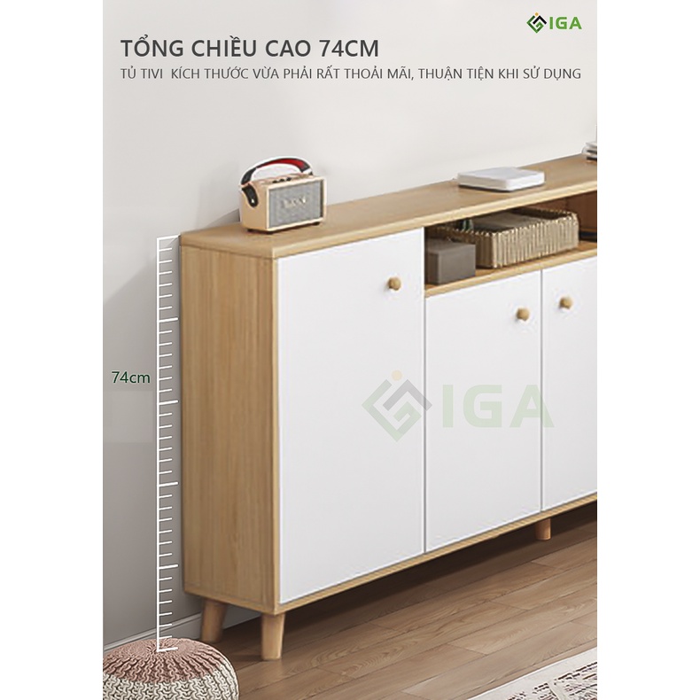Tủ kệ tivi nhiều ngăn phòng khách, Tủ để đồ đa năng thương hiệu IGA - GP219