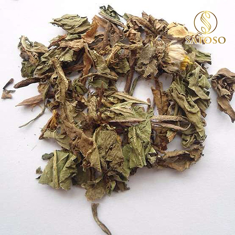 Bồ Công Anh khô thượng hạng SATOSO 1kg giúp ngủ ngon, thơm mát dễ uống SA23