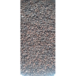 100gram hạt bông gòn giống