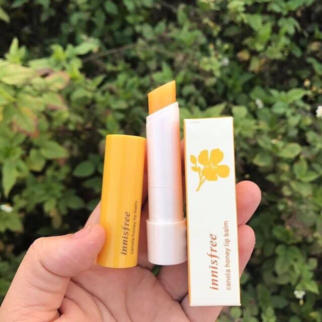 SON DƯỠNG MẬT ONG HOA CẢI INNISFREE