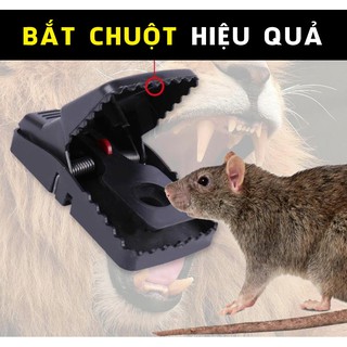 Bẫy chuột thông minh chất liệu nhựa ABS siêu cứng giúp ngôi nahf của bạn trở nên an toàn và sạch đẹp hơn