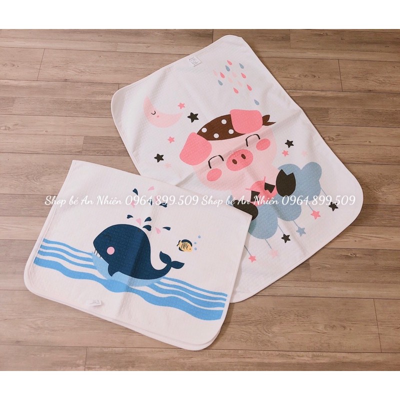 LÓT CHỐNG THẤM BESTBABY 50cm-70cm