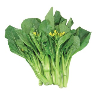 Hạt Giống Cải Ngồng Thân Mập 20 gr