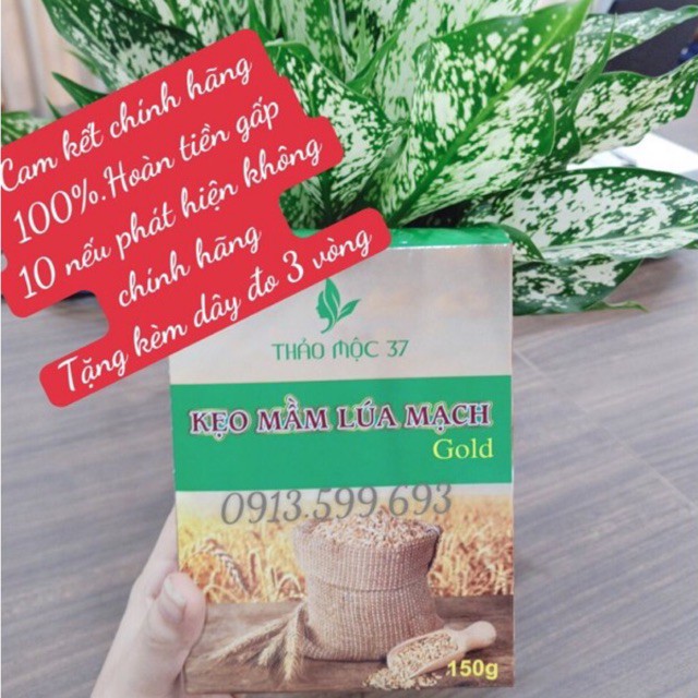 Kẹo mầm lúa mạch GOLD Thảo Mộc 37 [Chính Hãng-Date Mới]