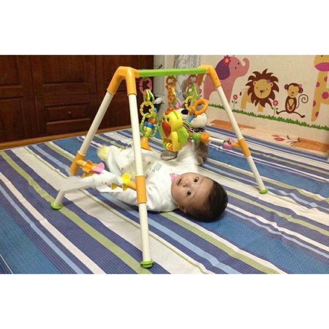 KỆ CHỮ A CON VẸT