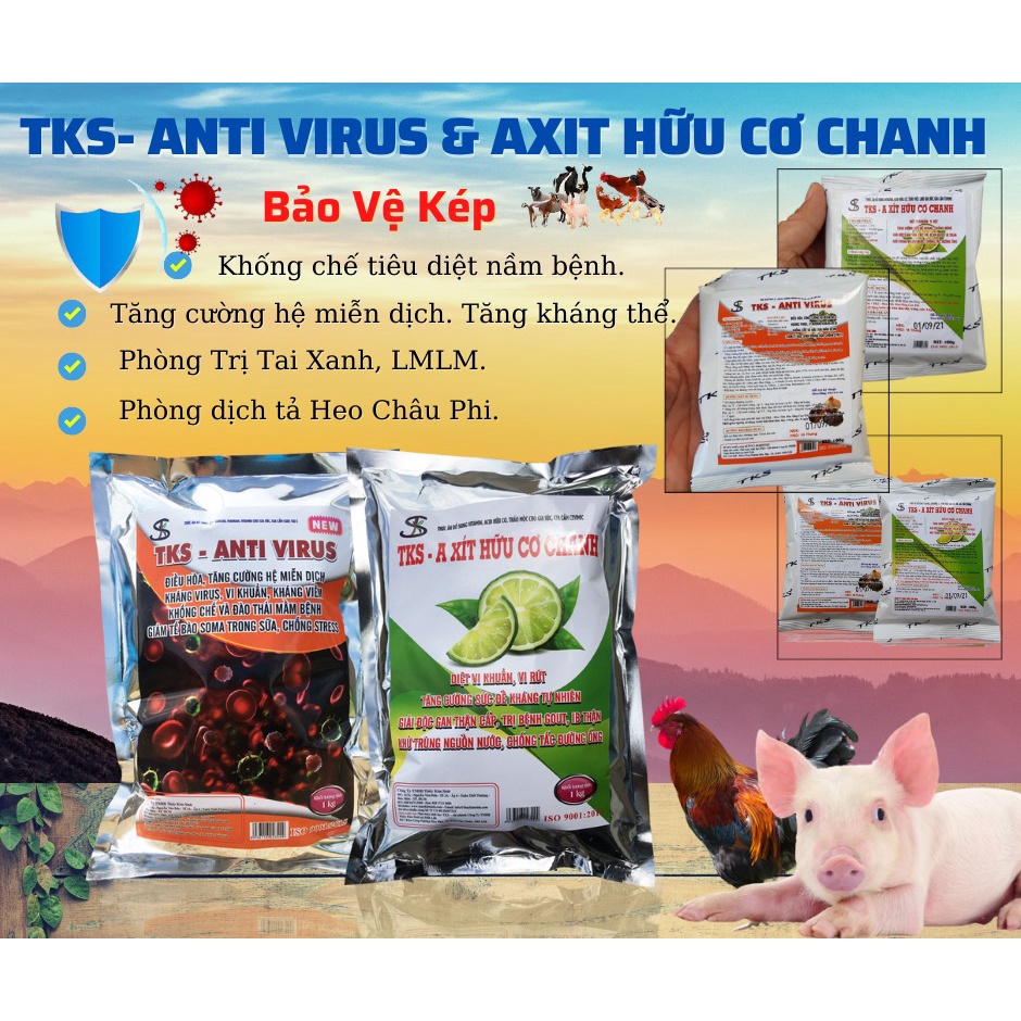 Axit Hữu Cơ Chanh GiảmTress Chống NóngTăng Cường Sức Đề Kháng Cho Vật Nuôi