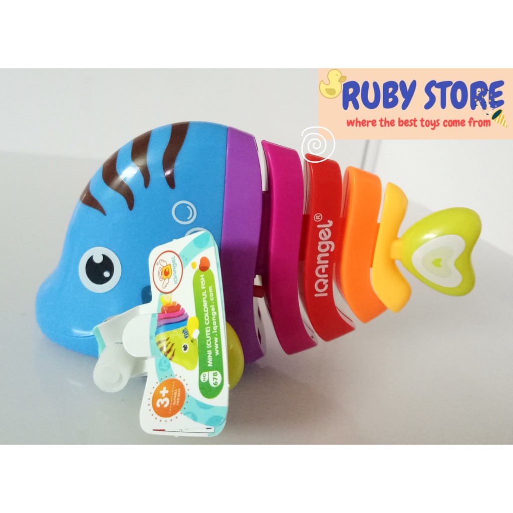 CÁ 7 MÀU ĐUÔI TRÁI TIM