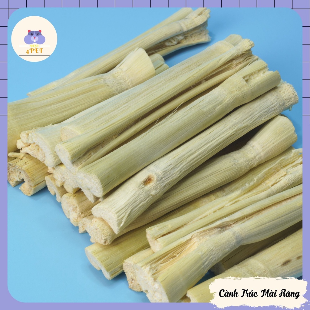 Cành Trúc Ngọt Mài Răng Cho Thỏ, Bọ, Sóc Bắc Mỹ,Sóc Bay ,Chinchilla ,Hamster... - 2 Cây