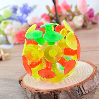 Bóng ném dính - Sticky Ball - Winz.vn