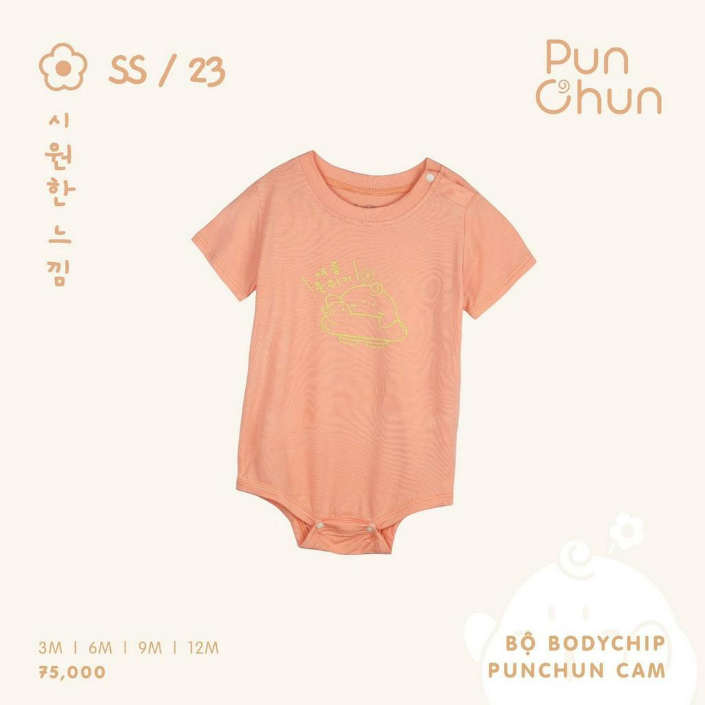Punchun - Bộ body chíp PCK2UB0523