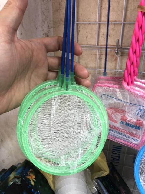 Vợt cá cảnh Thuỷ cung