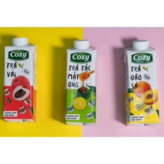 💥 TRÀ TRÁI CÂY COZY TEA 💥