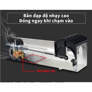 HỘP BẨY CHUỘT THÔNG MINH