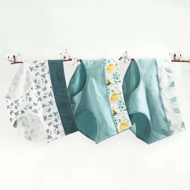 [Hàng order] Quần chip cotton