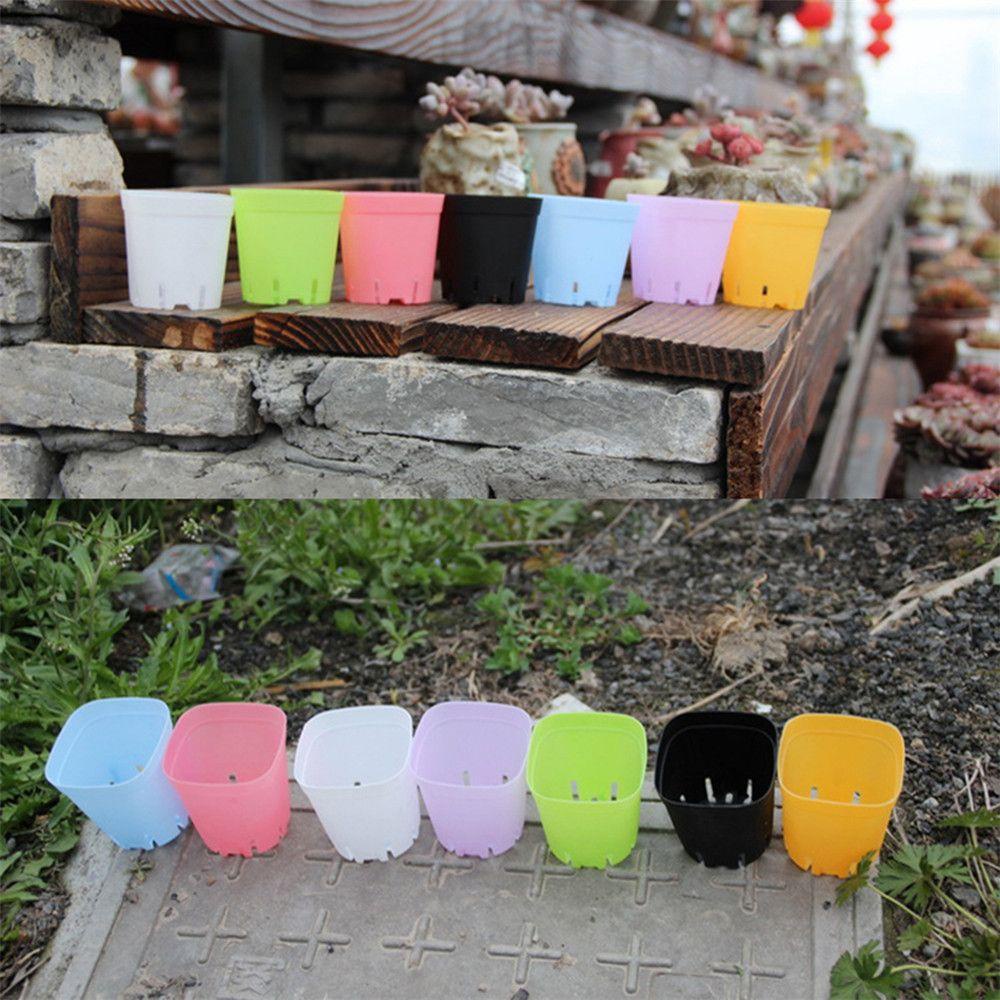 Bộ 10 Chậu Trồng Cây Bằng Nhựa Hình Vuông Màu Sắc Ngẫu Nhiên