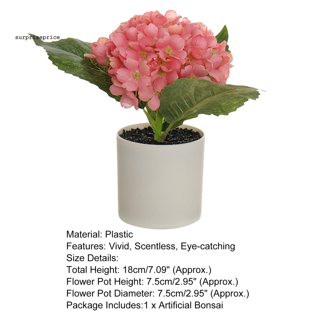 Chậu Cây Bonsai Nhân Tạo Chống Mòn Tiết Kiệm Không Gian Cho Khách Sạn / Bàn Làm Việc