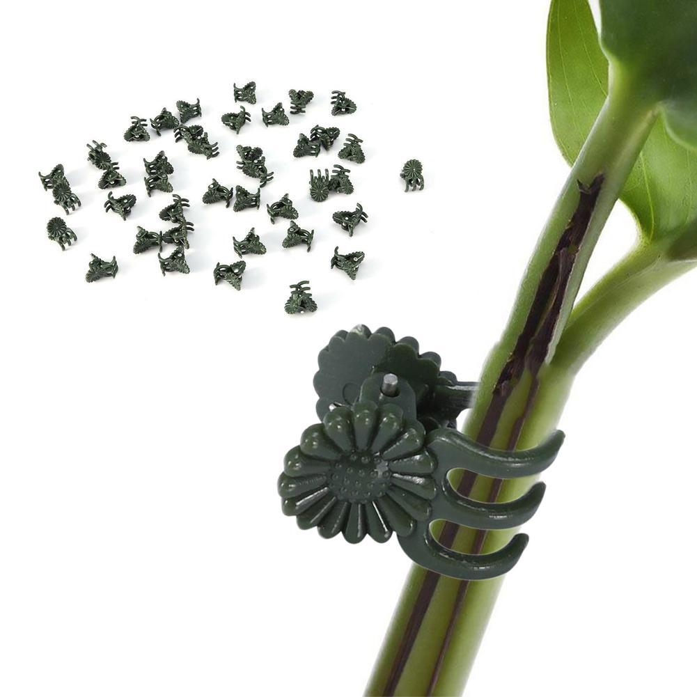 5PCS Kẹp bằng nhựa dùng cố định cây cho trồng hoa lan tiện dụng