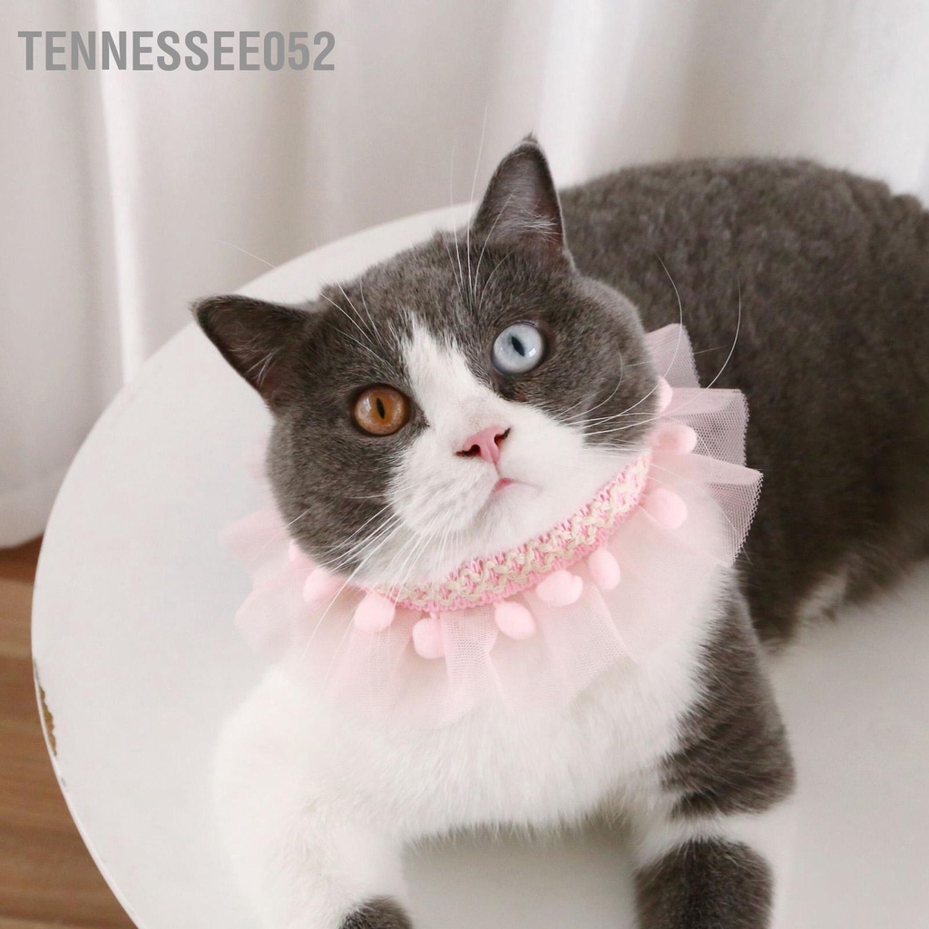 Tennessee052 Vòng cổ ren cho thú cưng Màu sắc rực rỡ có thể điều chỉnh Chinoiserie Cat vật nuôi nhỏ Chó mèo