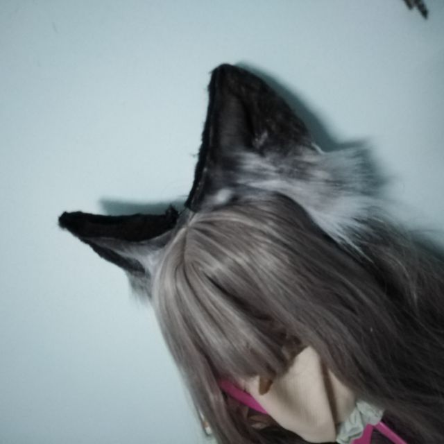 Tai cáo to loại đẹp và đuôi