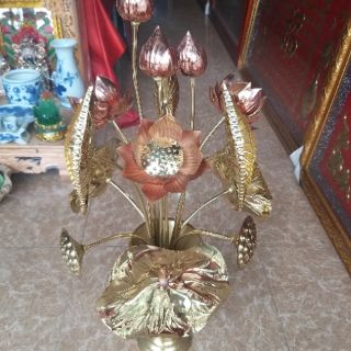 Hoa sen thờ đồng bó 15 bông