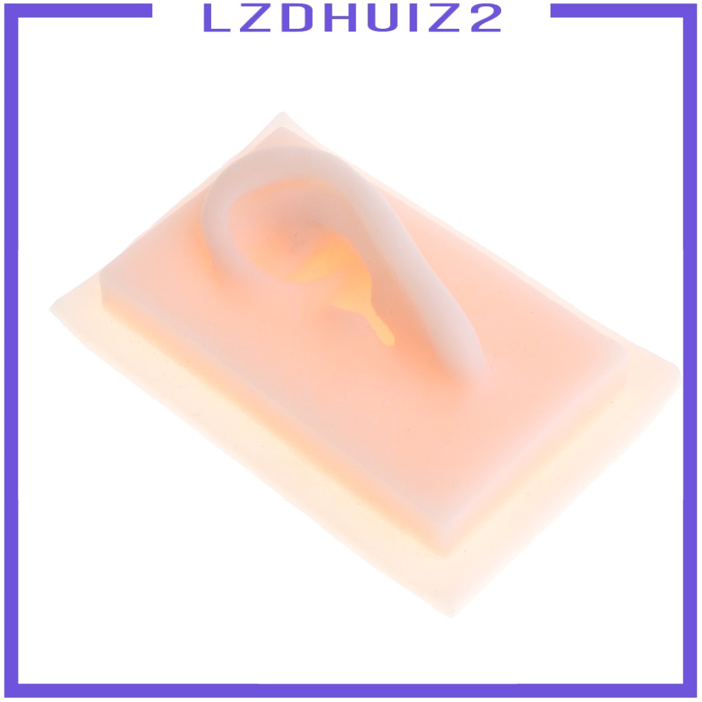Mô Hình Châm Cứu Tai Trái Bằng Silicon Tỉ Lệ 1: 1