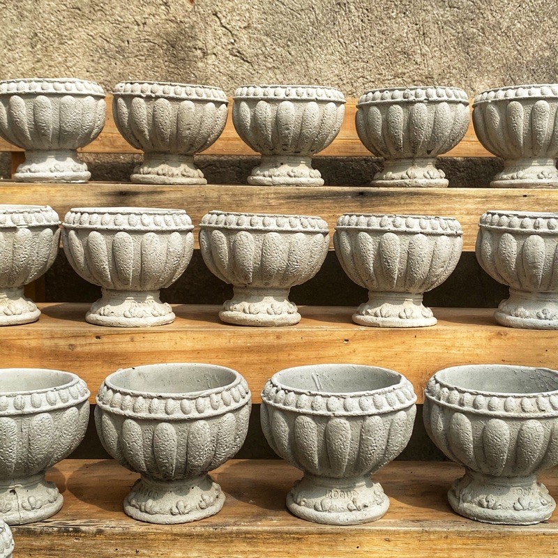FREESHIP Chậu xi măng hình ly vintage cổ điển SP035