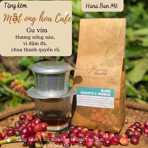 Cà phê rang xay nguyên chất Blend Robusta và Arabica, gu vừa chua dịu thơm tinh tế, cà phê hạt