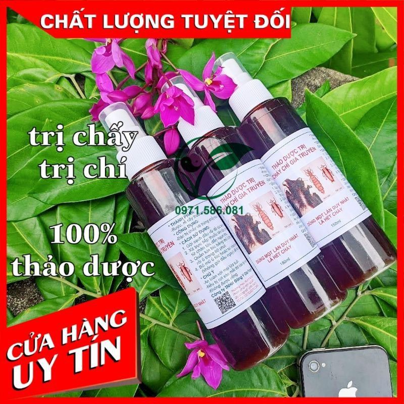 Thuốc Ủ Trị Chấy Chí Thảo Dược 100%. Hết Chấy Chí Chỉ Với 1 Lần Sử Dụng. Dầu Gội Trị Chấy Chí. Chai xịt 150ml | BigBuy360 - bigbuy360.vn